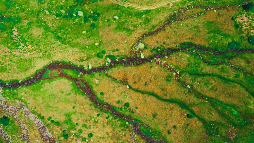 El poder del impacto local para acelerar la transformación sostenible: Schneider Electric en el Día Mundial de la Tierra