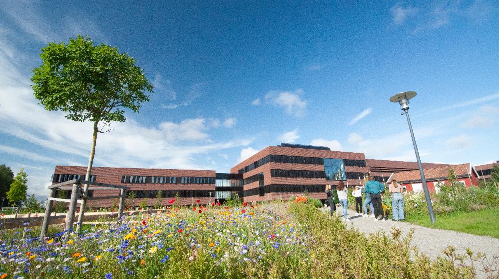 Campus Ås - God planlegging og pålitelige partnere nøkkelen for å lykkes