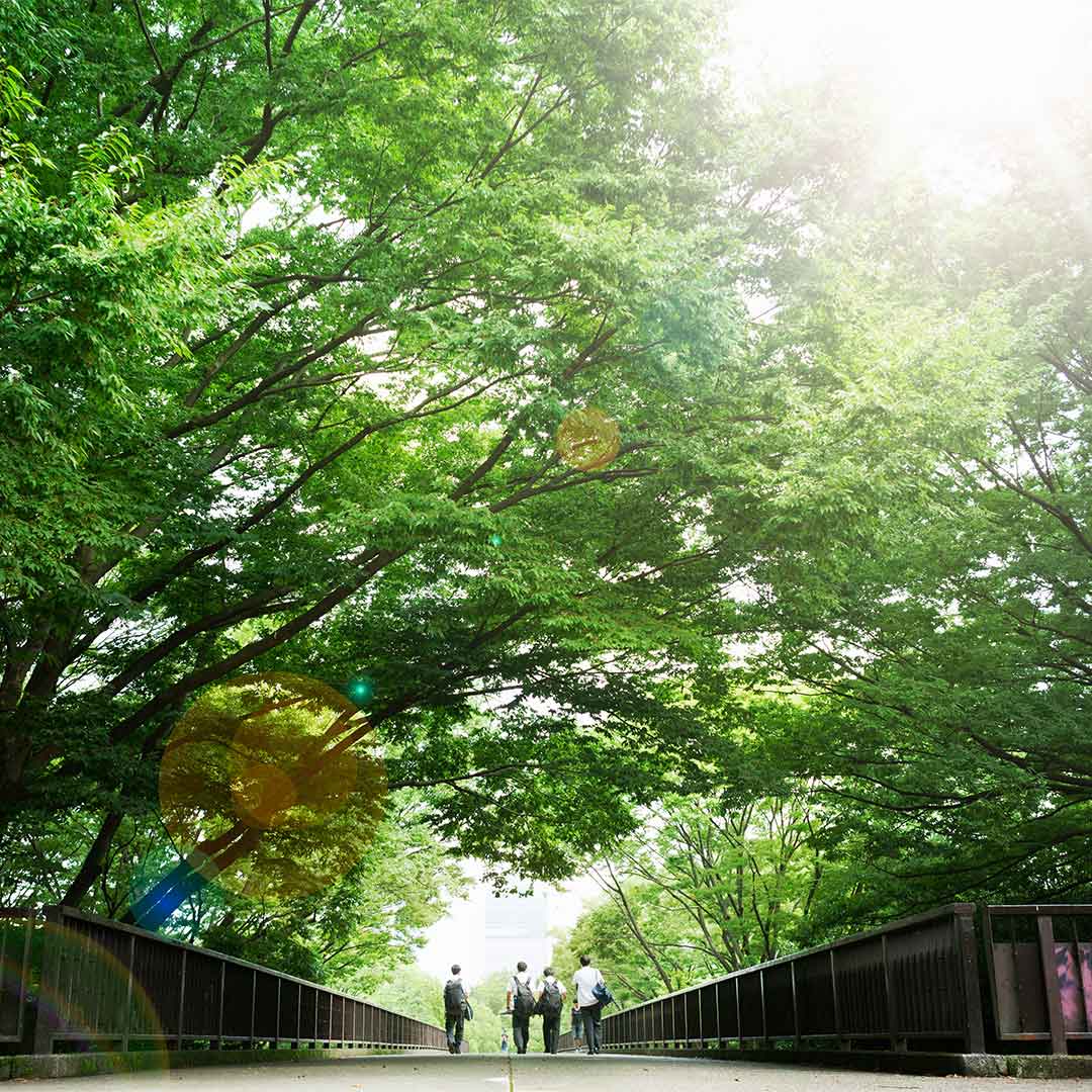 A group of people walking on bridge
