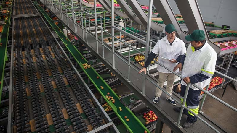 A group of people standing on a conveyor belt