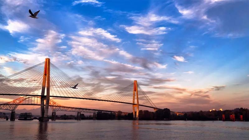 A bridge over water with a bird flying over it
