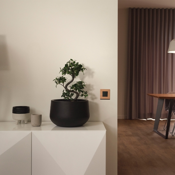 switch in home