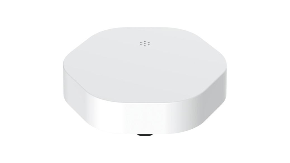 water leakage sensor Wiser