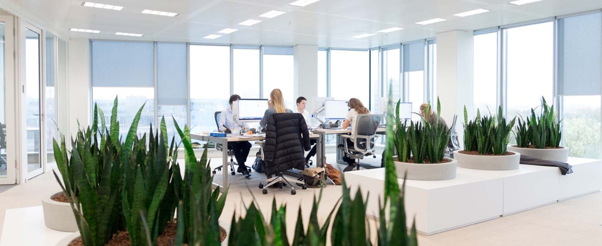 Standardalternativtext