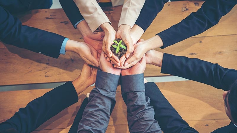 Team with hands together holding green plant