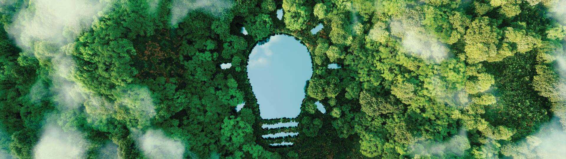A bulb-shaped lake in the middle of a lush forest