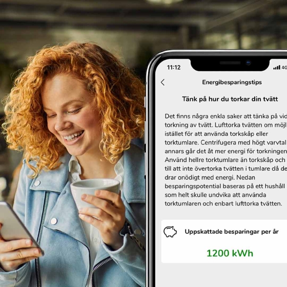 energy check