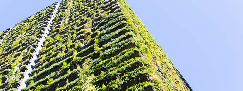 A tall building with plants growing on it
