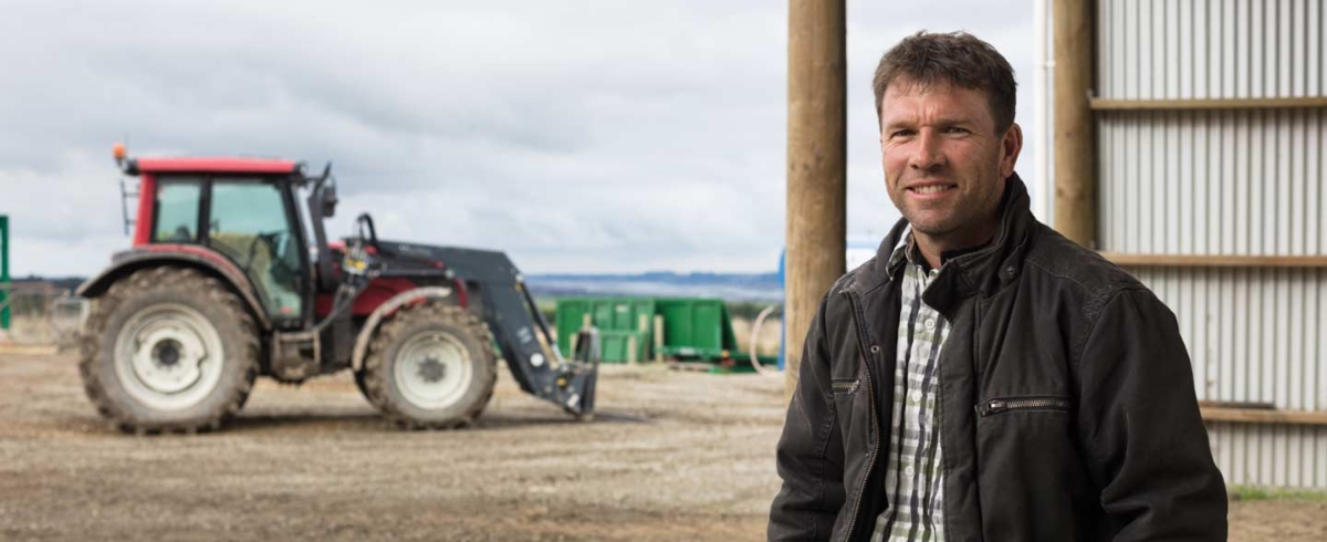 Standardalternativtext