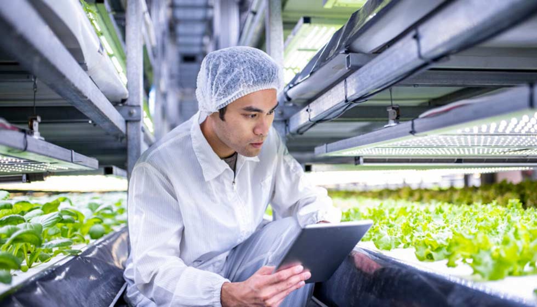 Digital and Automation Solutions for Food and Beverage — EcoStruxure™ IoT Schneider Electric