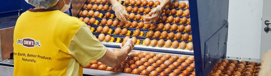 Product quality checking at Chew's farm