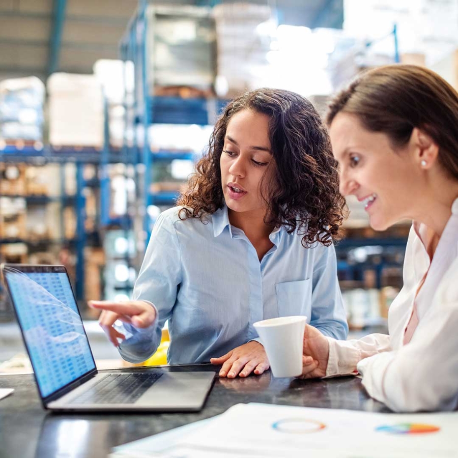 Women having a conversation at a laptop