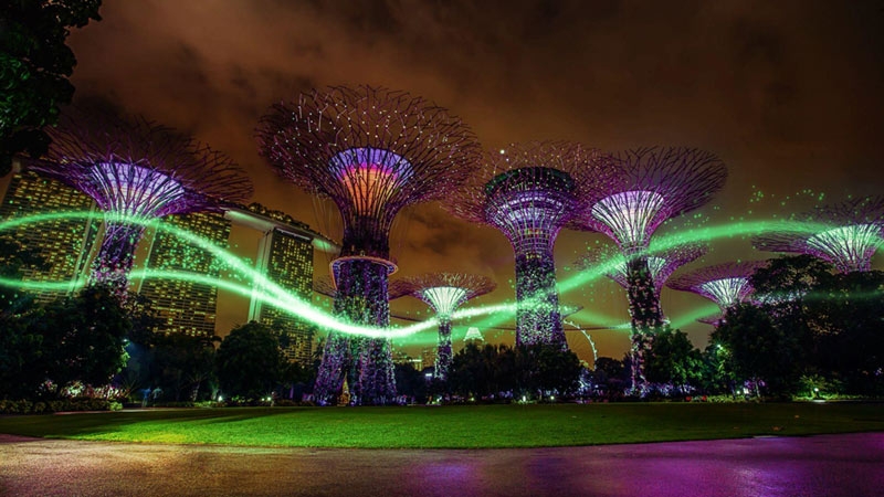 Night view of Supertree Grove with AI Green Waves