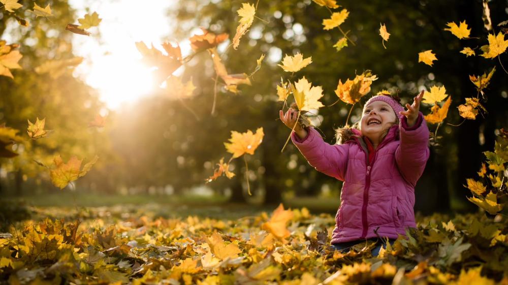 Schneider Electric closes 2022 with strong Sustainability Impact results