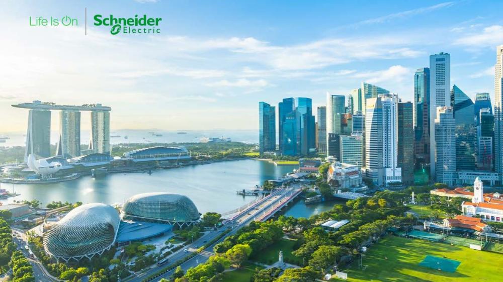 Singapore business leaders say decarbonisation should be linked to C-suite pay: Schneider Electric report