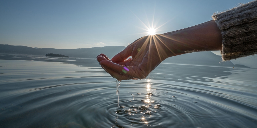 aesthetic shot of hand in water