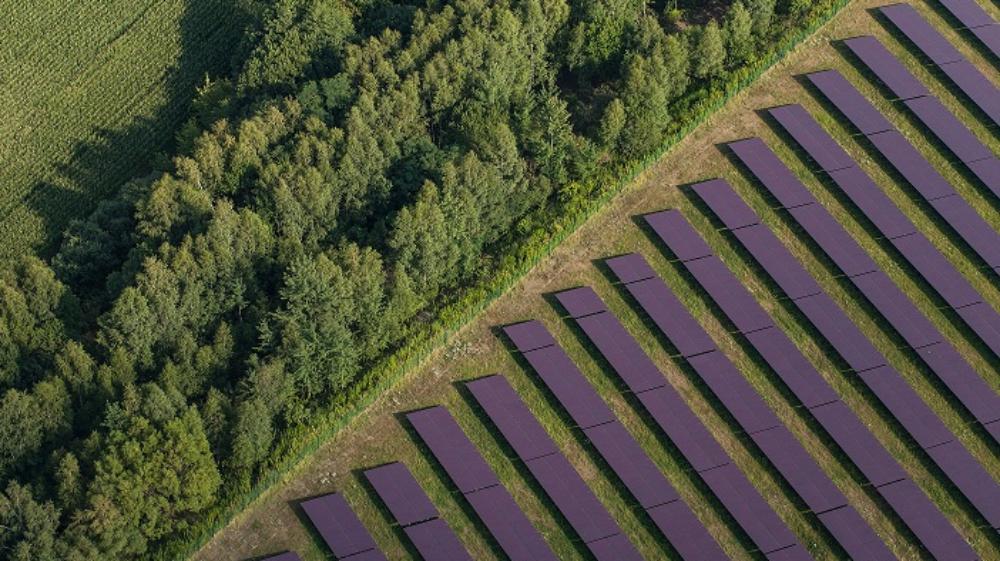 能源飆漲！施耐德電機呼籲企業正視能源及氣候危機挑戰  加速能源轉型進程，邁向減碳未來