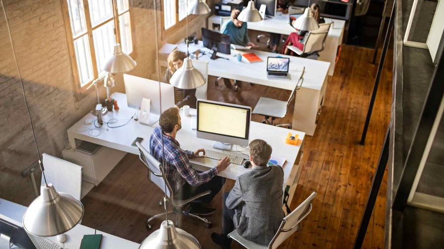 People working in office