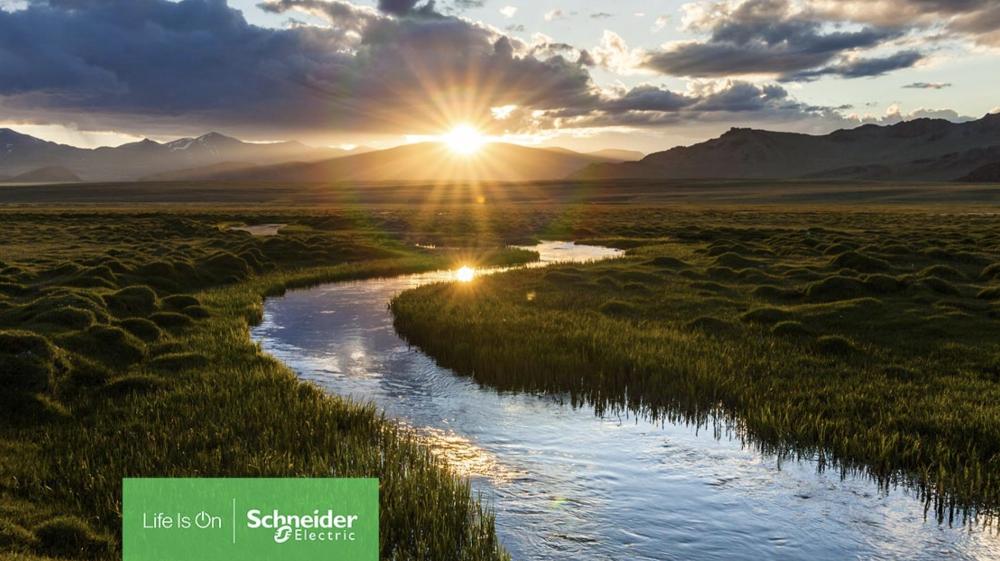 Business net zero plans blown off track by the energy crisis