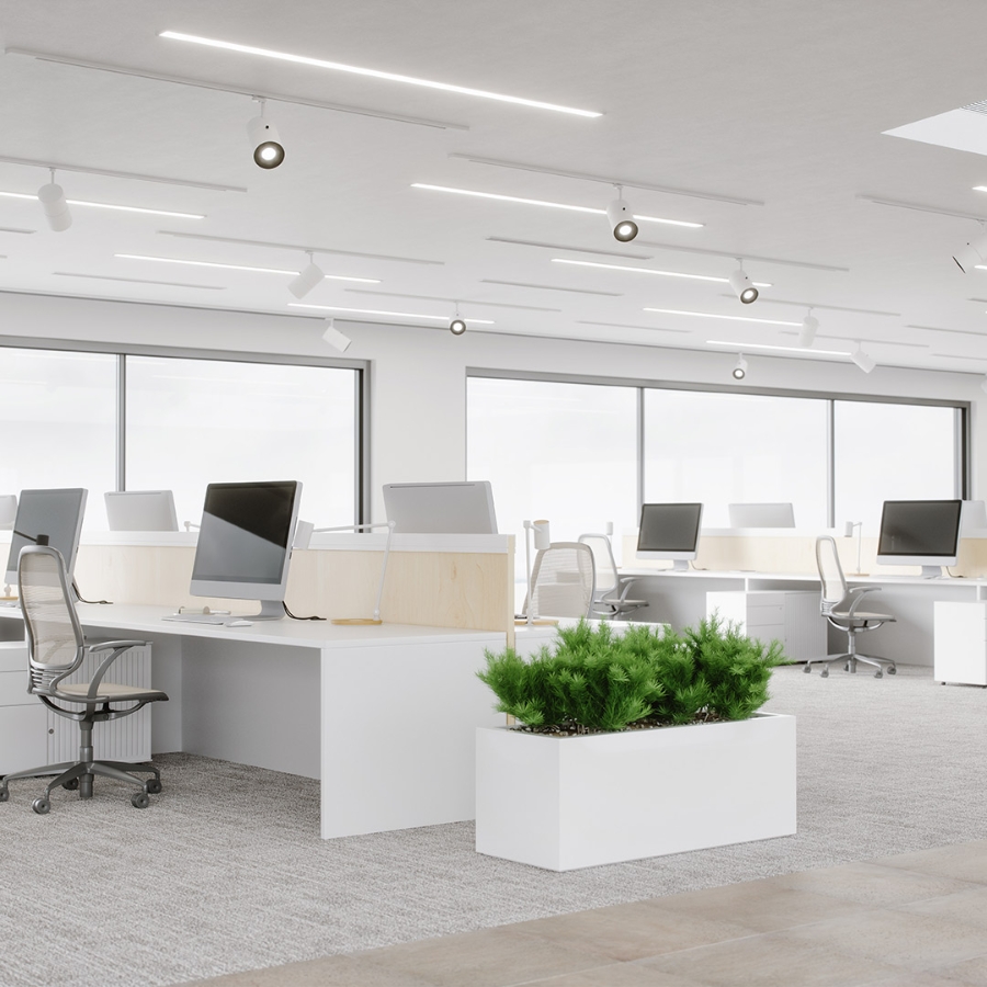 clean and minimalistic modern office interior