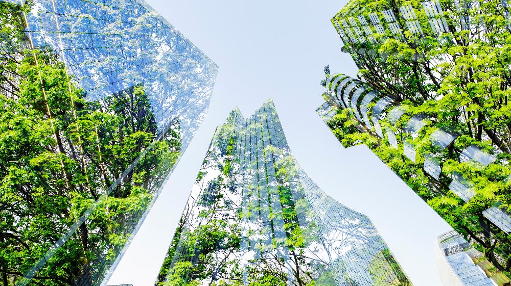 Schneider Electric Announces Partnership with PCAF as First Global Sustainability Consultancy to Join the Accredited Partnership Program