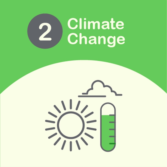 Climate Change and Decarbonisation