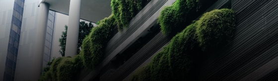 Green Impact Gap