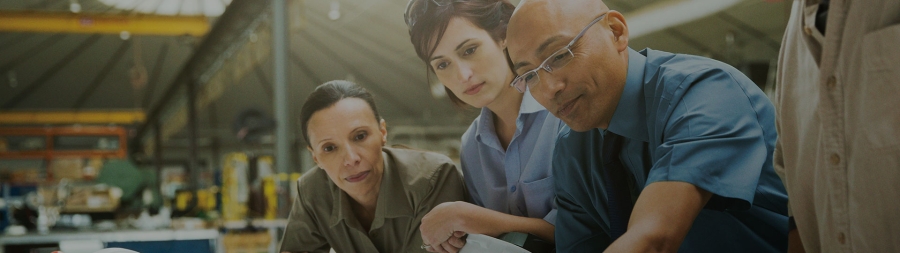 employees working together in factory