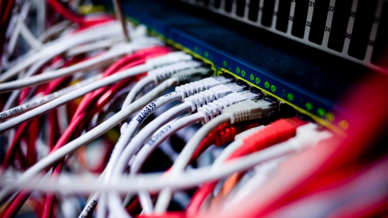 network wires