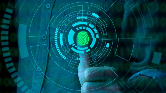 A person touching a screen