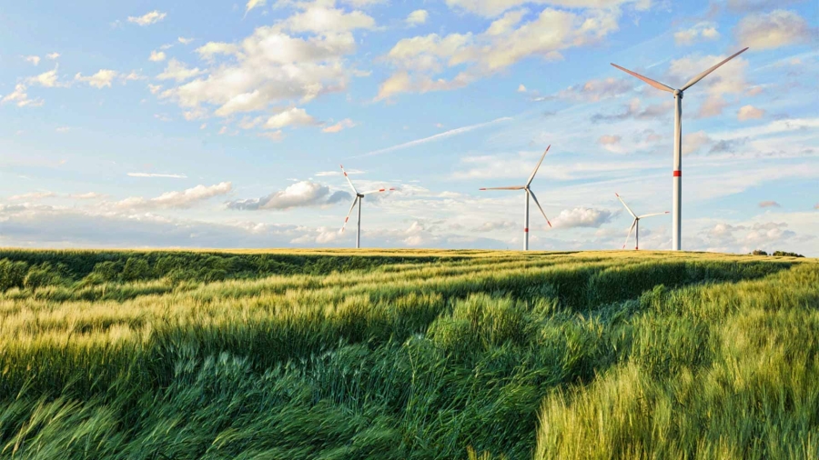 A field of grass with wind turbines
