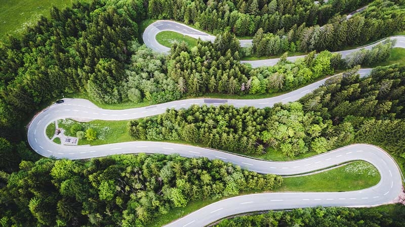 A winding road with trees