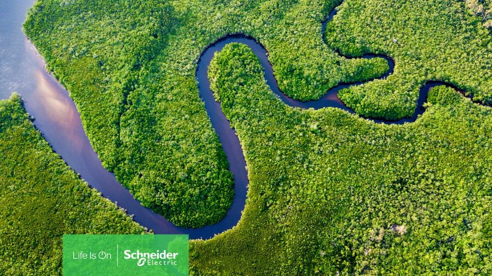 Latest research from Schneider Electric suggests most large organizations don’t know how to take meaningful climate action