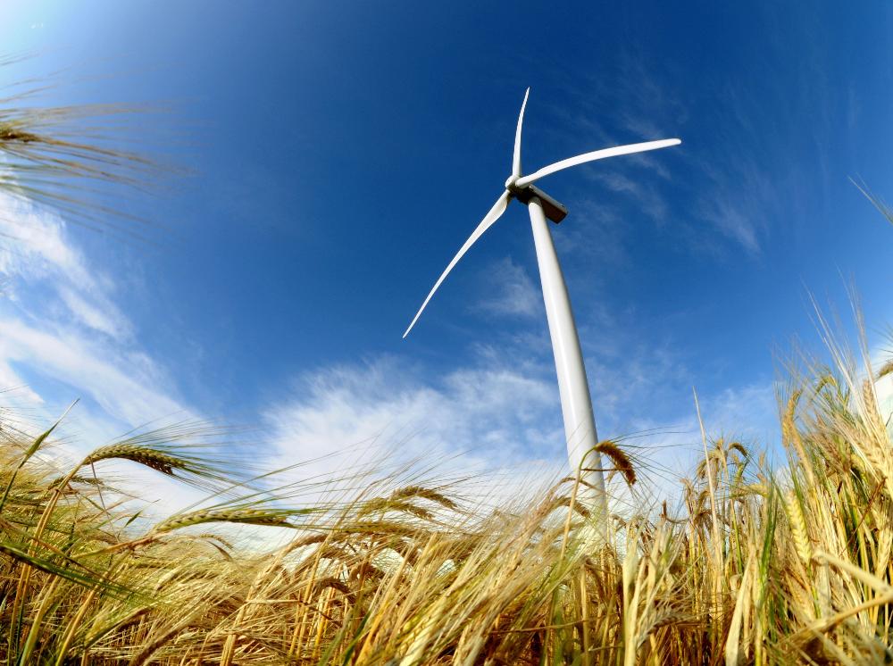 Wilo turbine.jpg