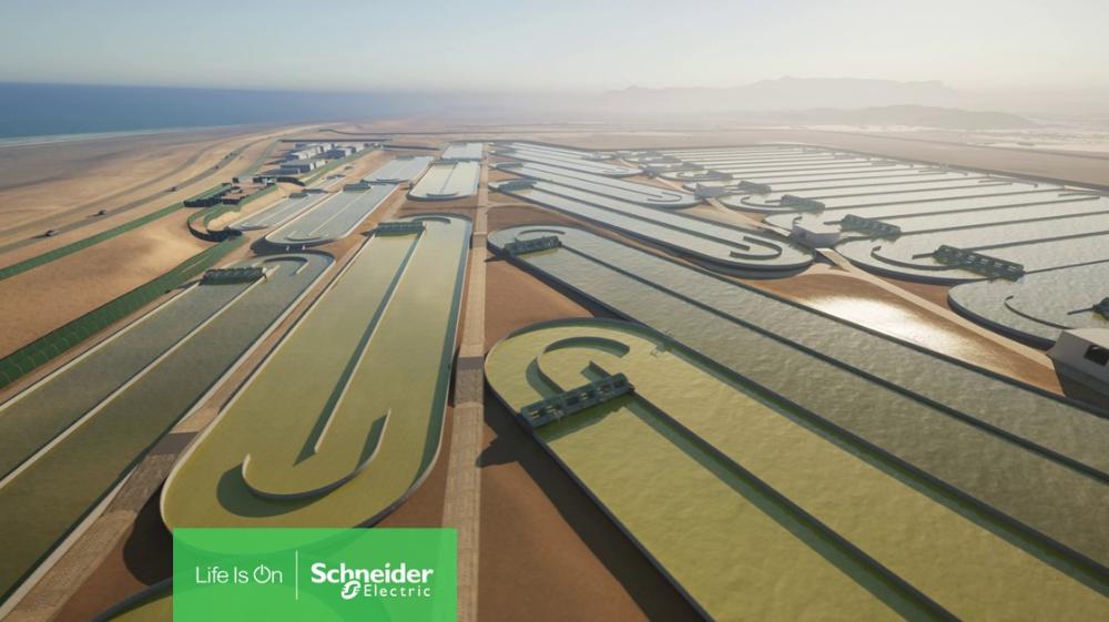 Brilliant Planet to scale algae-based carbon capture process with universal automation solution from Schneider Electric and Platinum Electrical Engineering