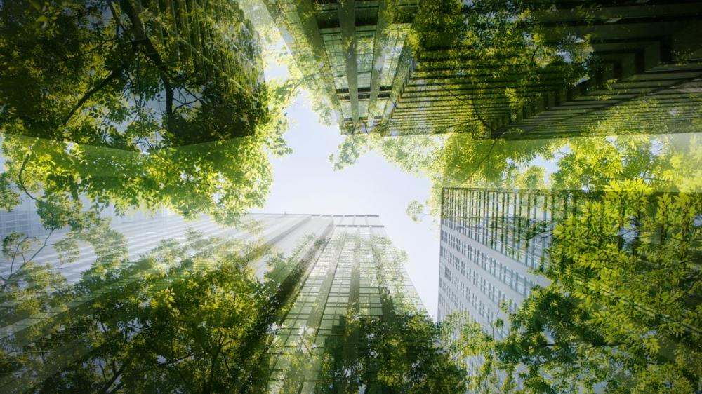 World’s Most Sustainable Companies of 2025