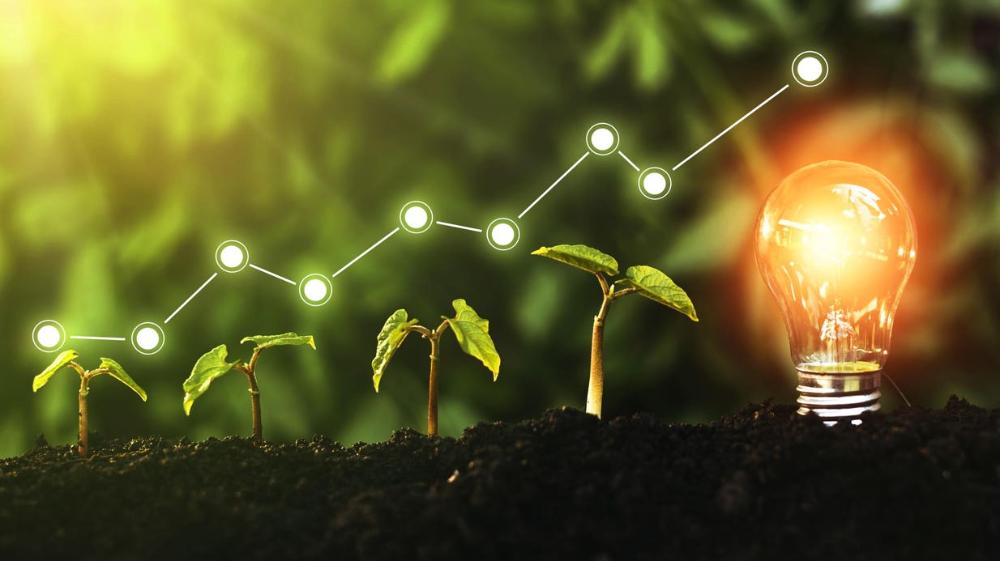 Venture Capital Inflows Will Keep Green Investments Buoyant To 2030