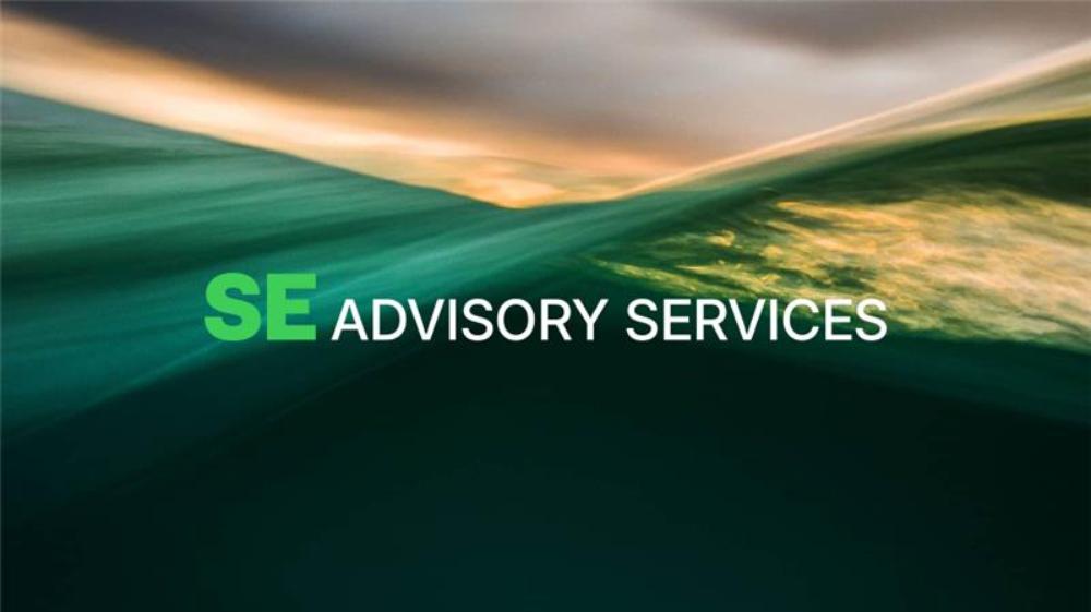 Introducing SE Advisory Services