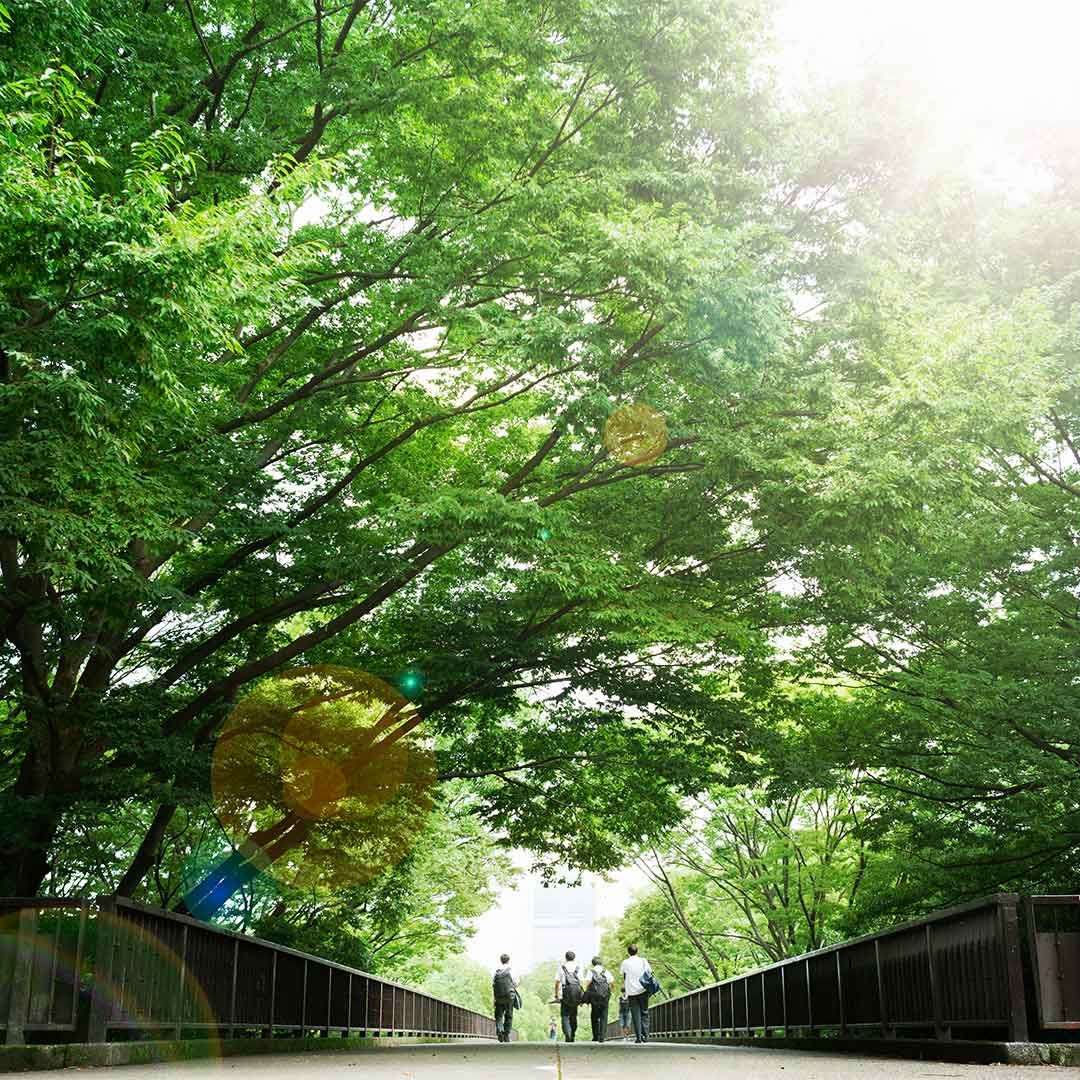 Greenery and people walking