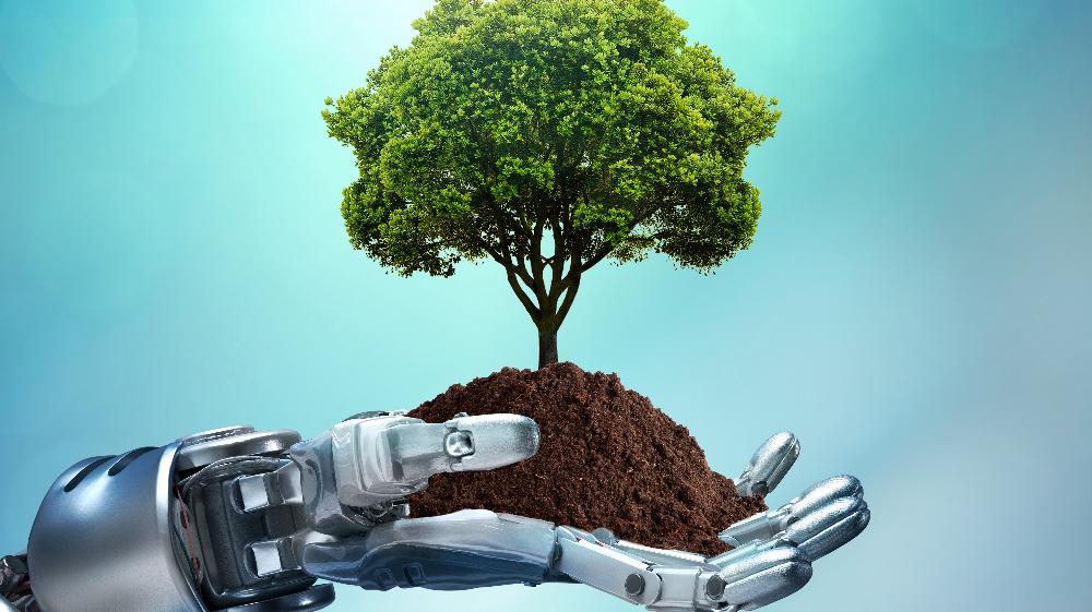 The environmental responsibility of AI